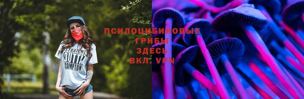 тгк Алексин