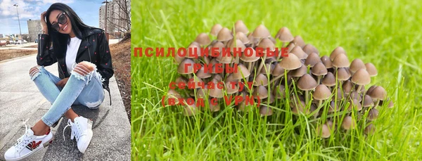 синтетический гашиш Алексеевка
