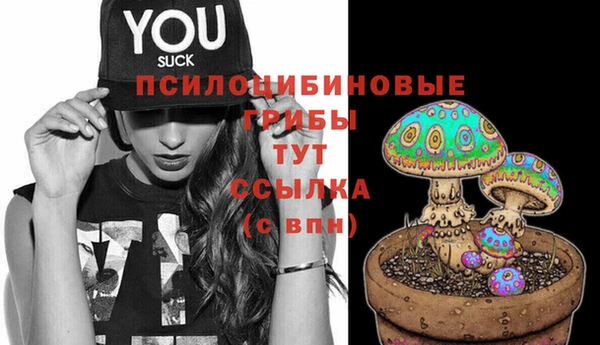 тгк Алексин
