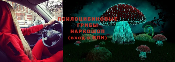 тгк Алексин