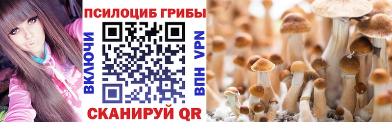 Псилоцибиновые грибы ЛСД  где купить наркоту  Сорочинск 