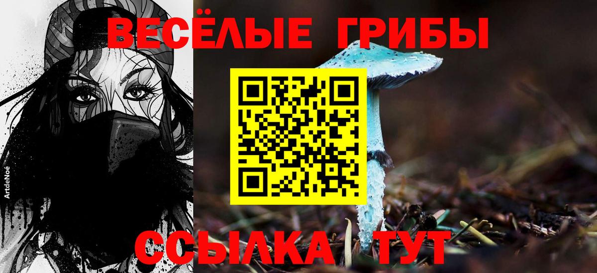 Псилоцибиновые грибы ЛСД  Галлюциногенные грибы Psilocybe  Сорочинск  Вход с VPN 